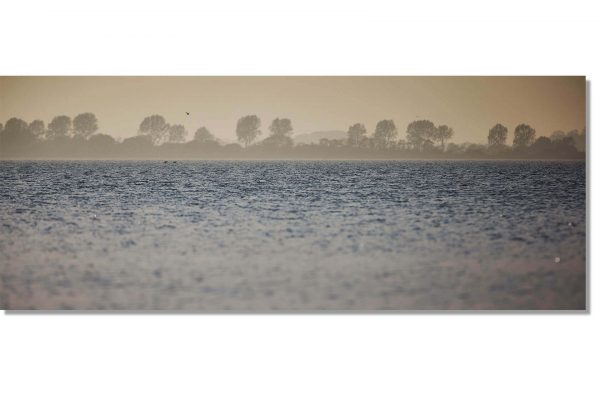 Alternative view of SchleiUfer