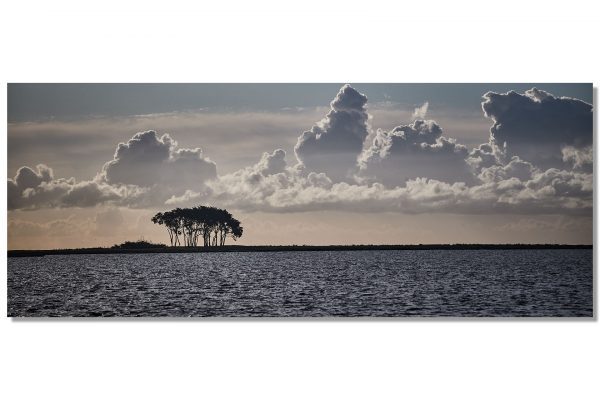 Alternative view of LotsenBäume