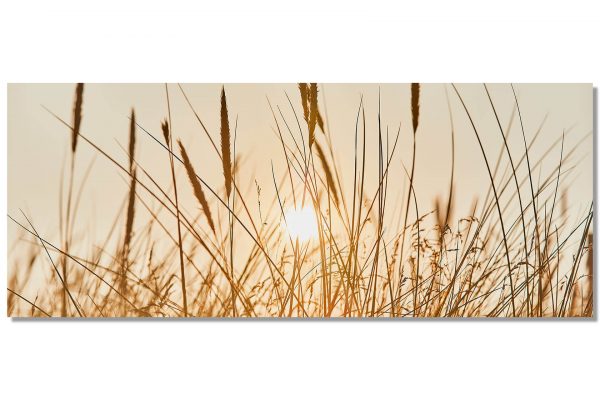 Alternative view of GegenLicht