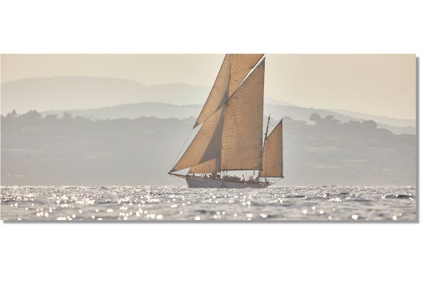 Alternative view of MorningGlory