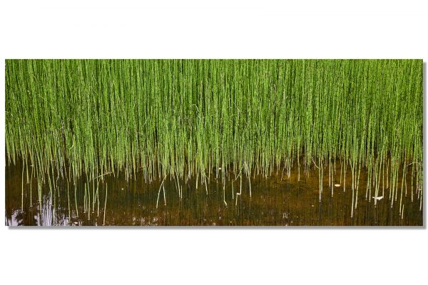 Alternative view of SchachtelHalm