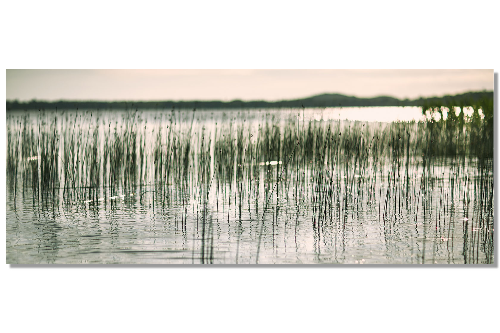 UferGruen – Bild 2