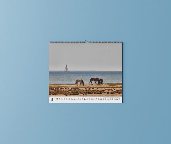 Mare Balticum Kalender 2027 – Bild 7